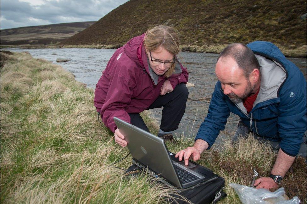 Scientists from the James Hutton institute check water temperature loggers on the River Gairn in Scotland