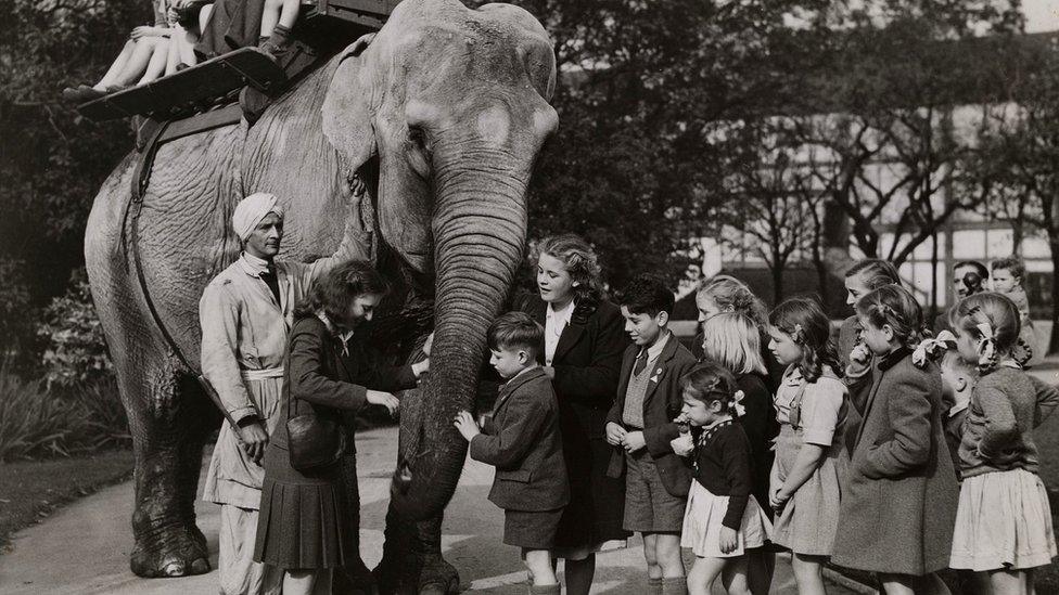 Belle Vue Zoological Gardens