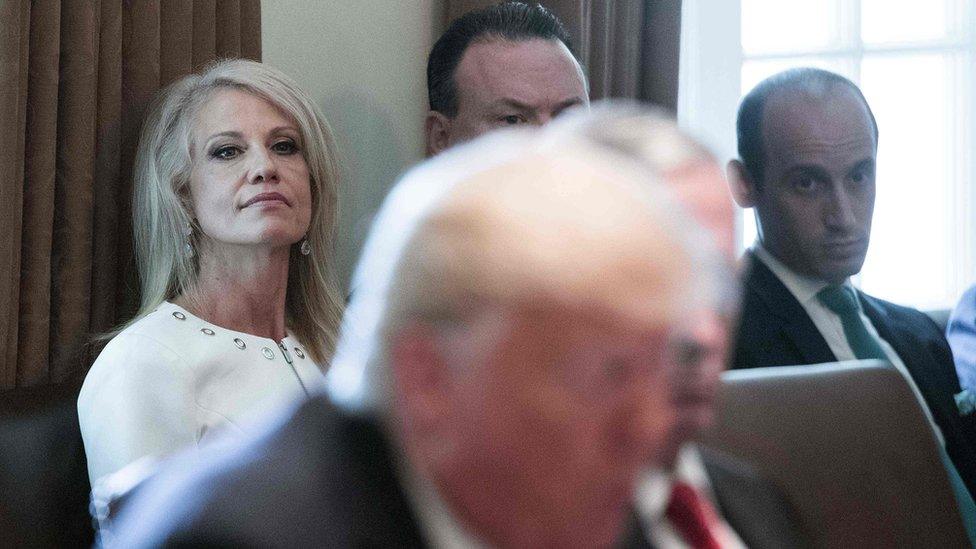 kellanne conway at the White HOuse