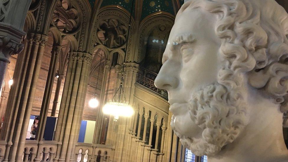 Bust of 19th Century Manchester politician Sir Joseph Heron