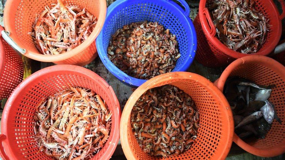 Fish in baskets