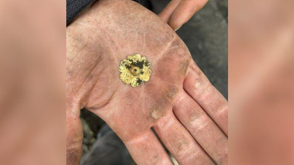 An archaeologist holding a small gold petal in his hand.