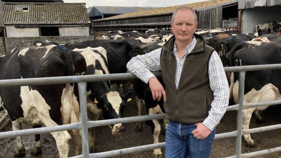 A farmer in a checked shirt standing in front of a bunch of cows