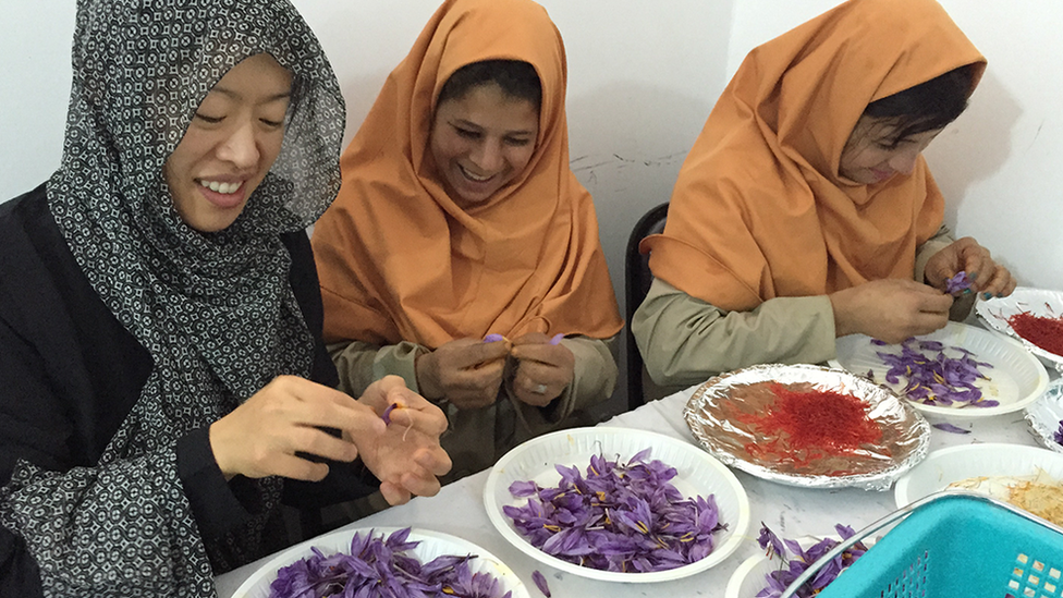 Rumi Spice co-founder Kim Jung sorting saffron with Afghan women