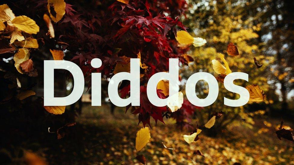 Diddos