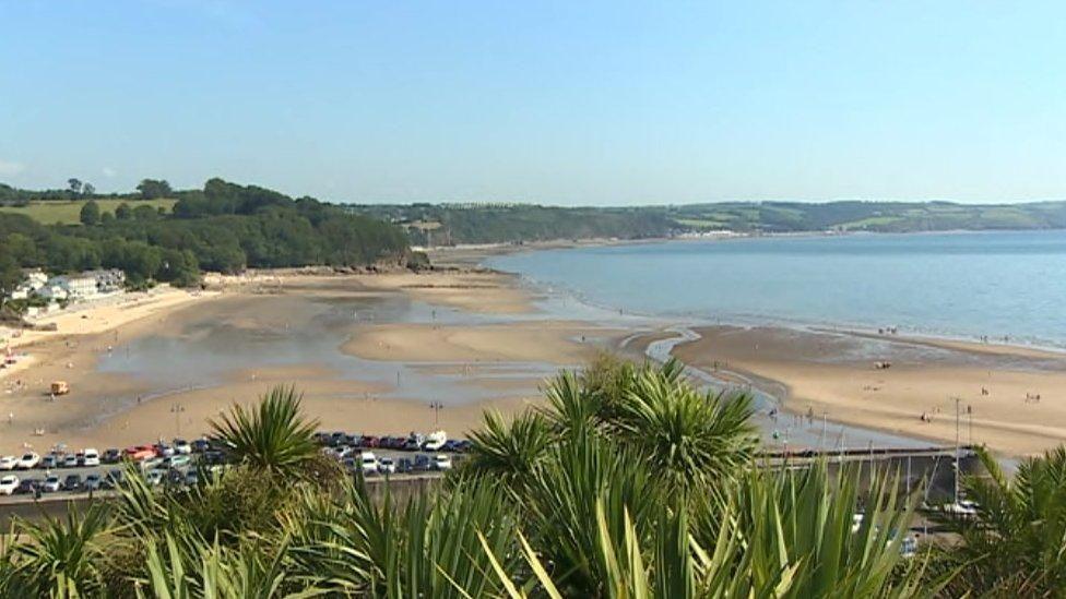 A view down onto a beach. There is green shrubbery at the front of the image, and trees and fields in the background. In the middle is sandy beach, with the sea to the right.