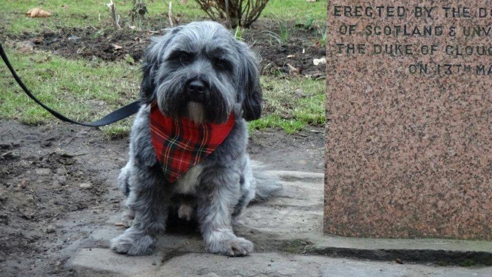 Greyfriars Bobby memorial