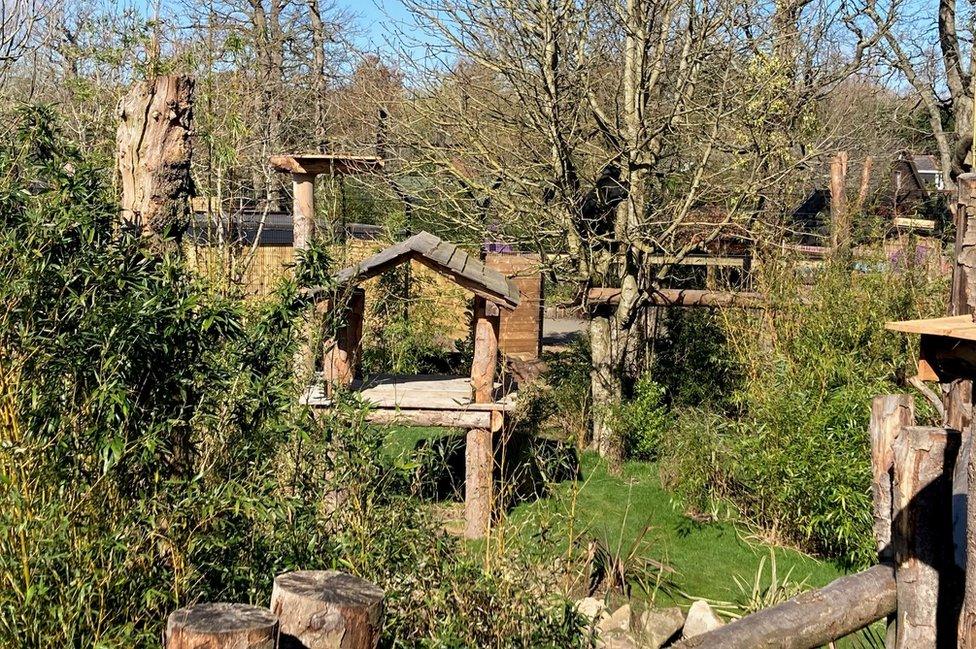 Sun Bear Heights at Paradise Wildlife Park