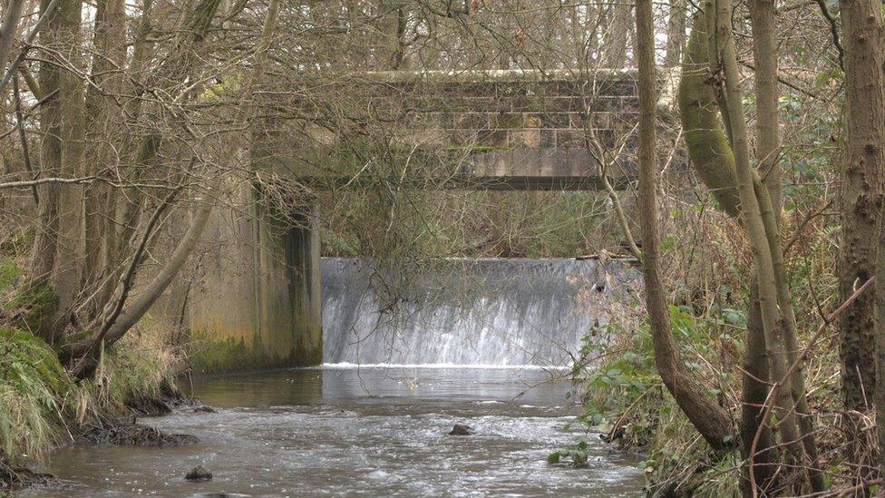 Snake Lane weir