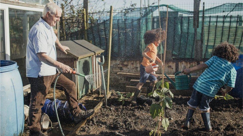 gardening grandfather quirts grandchildren with water hose