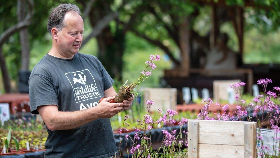 A man holding a plant