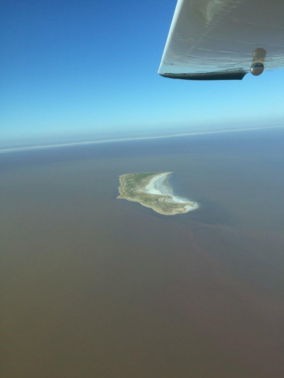 An island covered in vegetation is seen in Lake Eyre