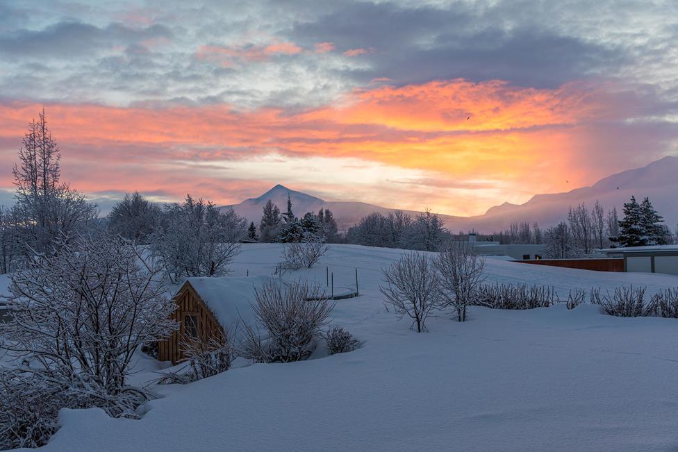 Snowy scene with low sunlight illuminating the clouds