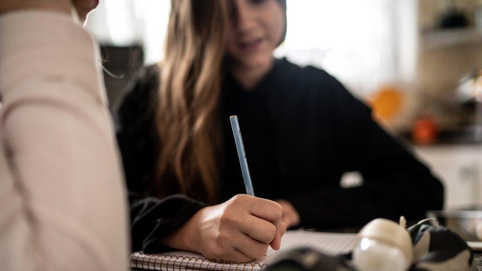 Woman helping teenager with homework