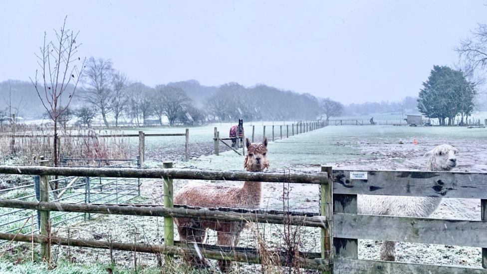 Suffolk And Norfolk Issued With Met Office Ice Weather Warning BBC News suffolk-and-norfolk-issued-with-met-office-ice-weather-warning-bbc-news