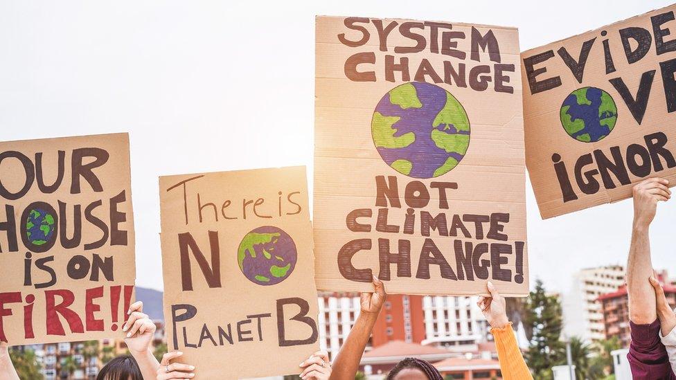 climate change placards