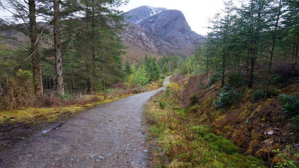 Forest path near Achnashellach