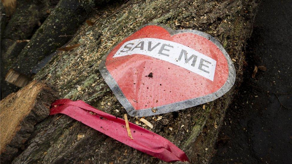 Save me sign on cut down tree