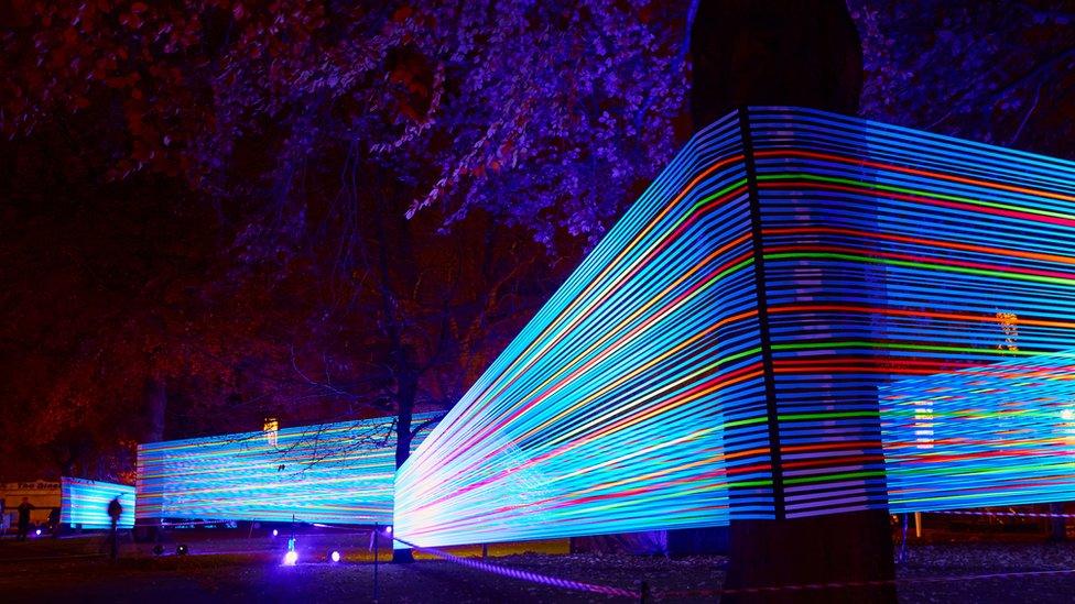 Straight beams of light in blue, red and green wrap around trees in a forest.