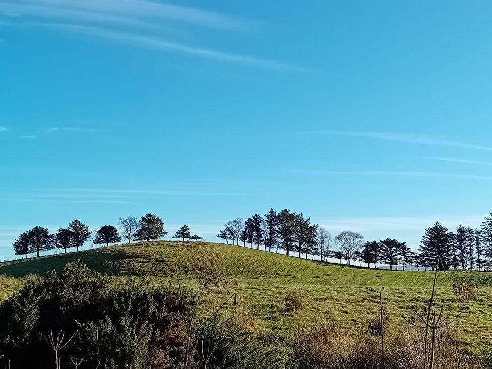 An undulating green hillside with trees on top of it which follow the line of the hill against a lovely blue sky.