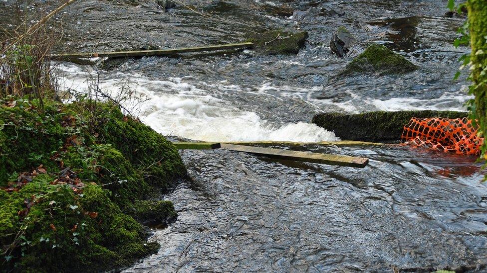 Torn fencing at the Dingle nature reserve, Llangefni