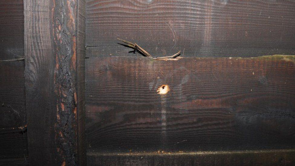 A close-up of a small hole carved into the wood panel of a fence.