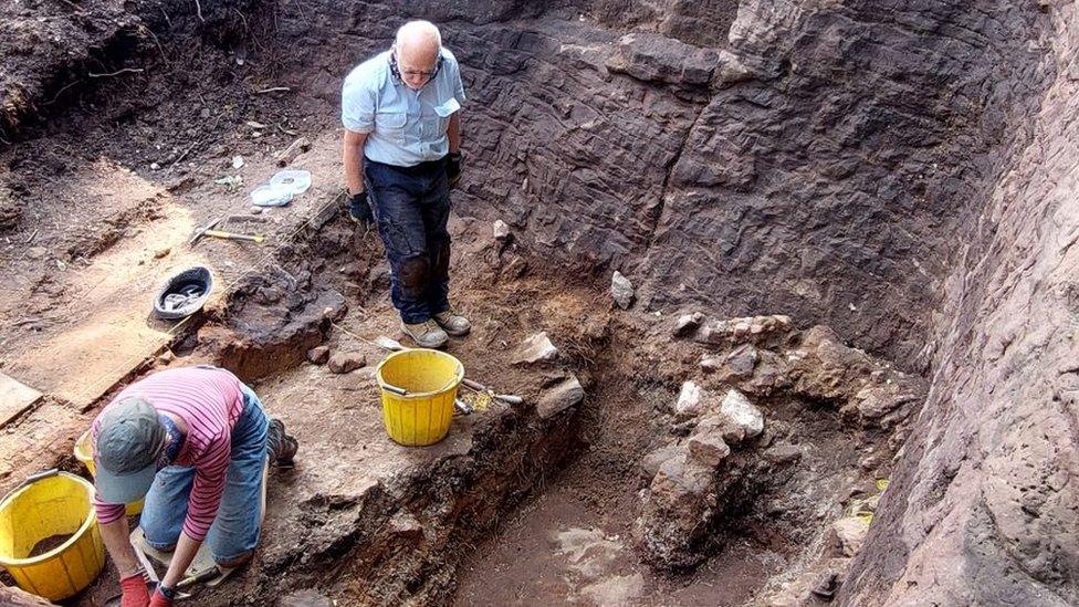 Nesscliffe Hillfort