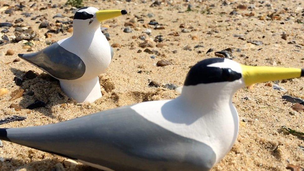 Replica little tern birds