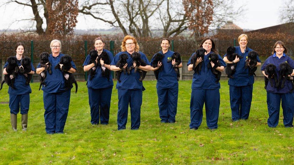 Staff at Guide Dogs National Centre