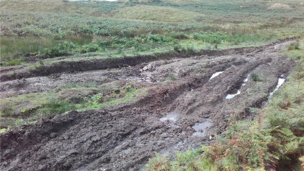 Damaged area in southern Snowdonia