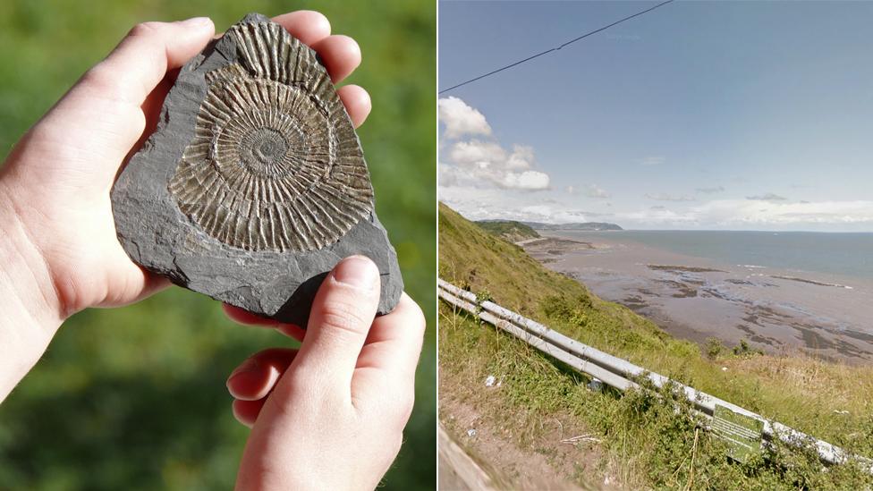 A composite image of the Somerset coastline and an ammonite fossil