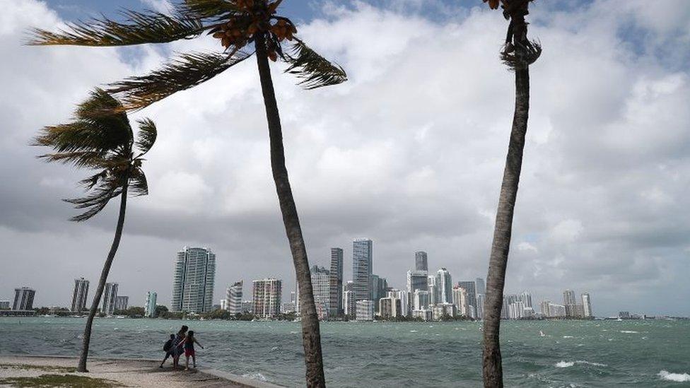 View of the Miami skyline