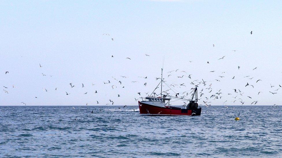 A flock of birds around a fishing trawler - stock photo