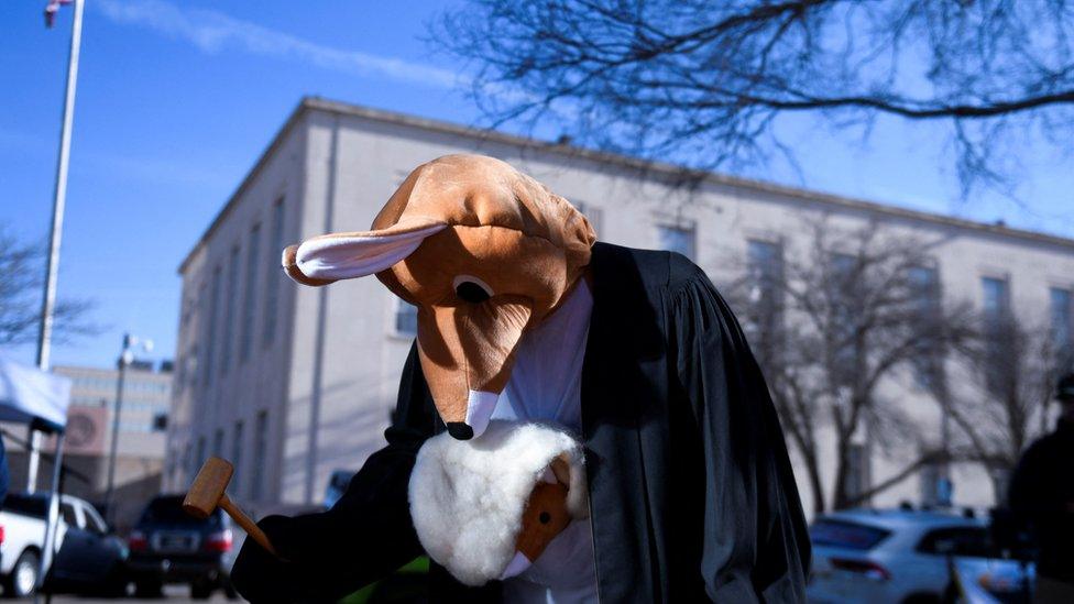 A person is dressed as a kangaroo in protest