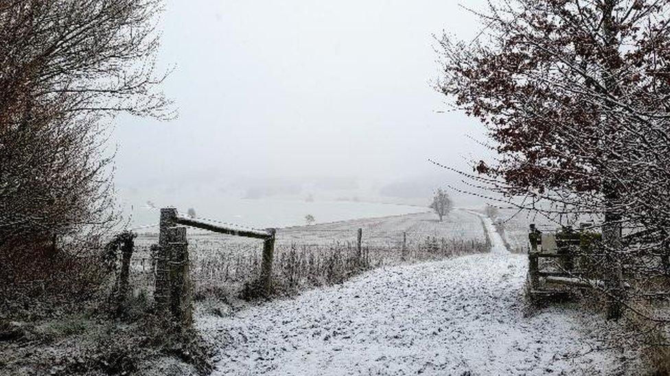 Rural snow scene with fields, trees and fences