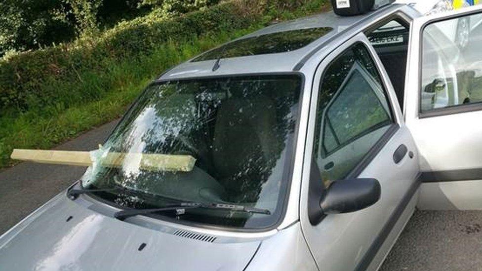 Timber through windscreen