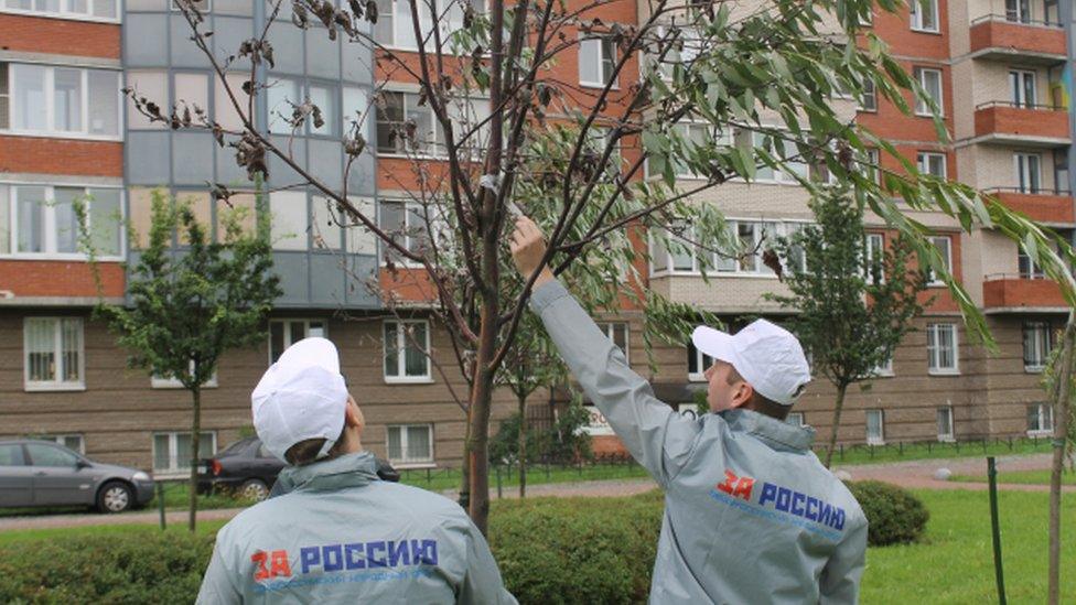 All-Russia People's Front volunteers find branches taped to trees in St Petersburg