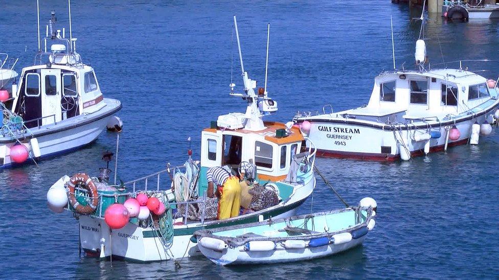 Fishing boats