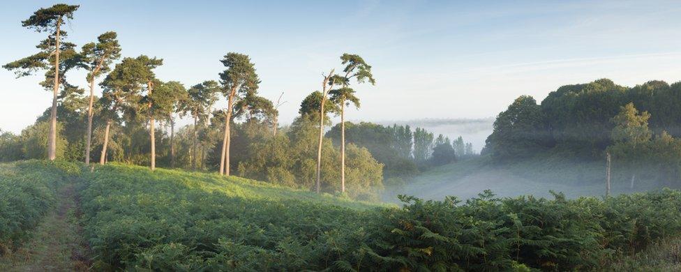 Sutton Hoo