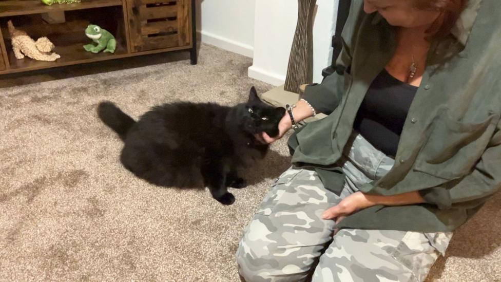 Missing cat Woman reunited with pet after six years BBC News