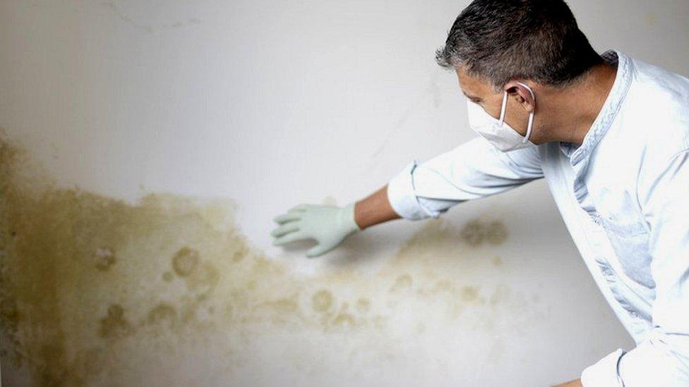 Man looking at mould