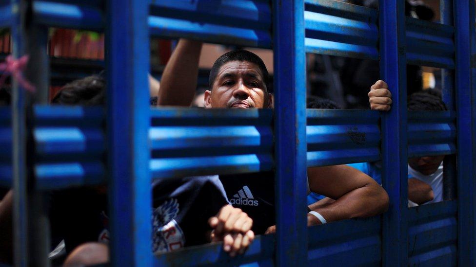 Members and associates of the Mara Salvatrucha (MS-13) in the back of a truck