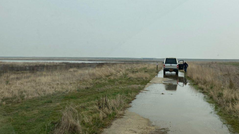 RSPB Wallasea landscape