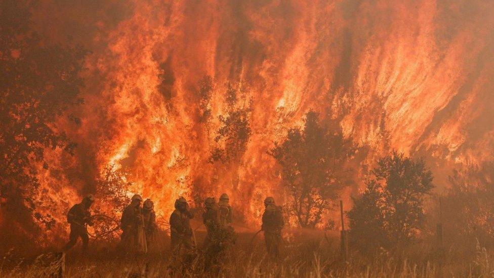 Firefighters work at the site of a wildfire in Pumarejo de Tera near Zamora, northern Spain.