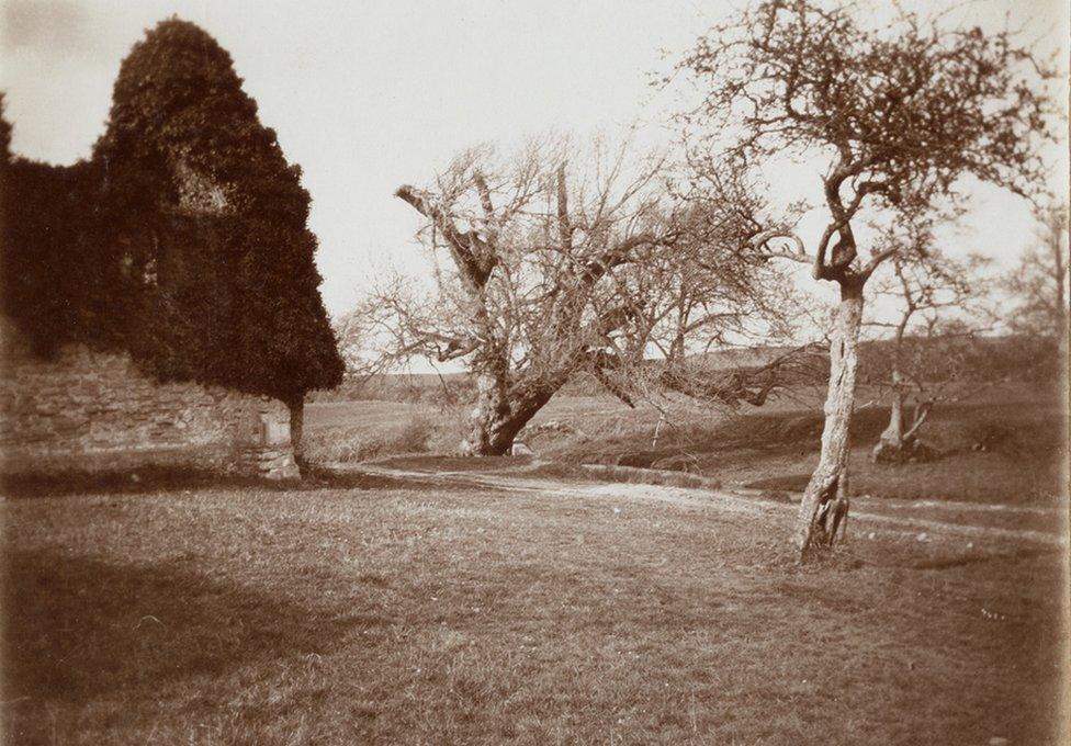 Kilve Priory, Somerset