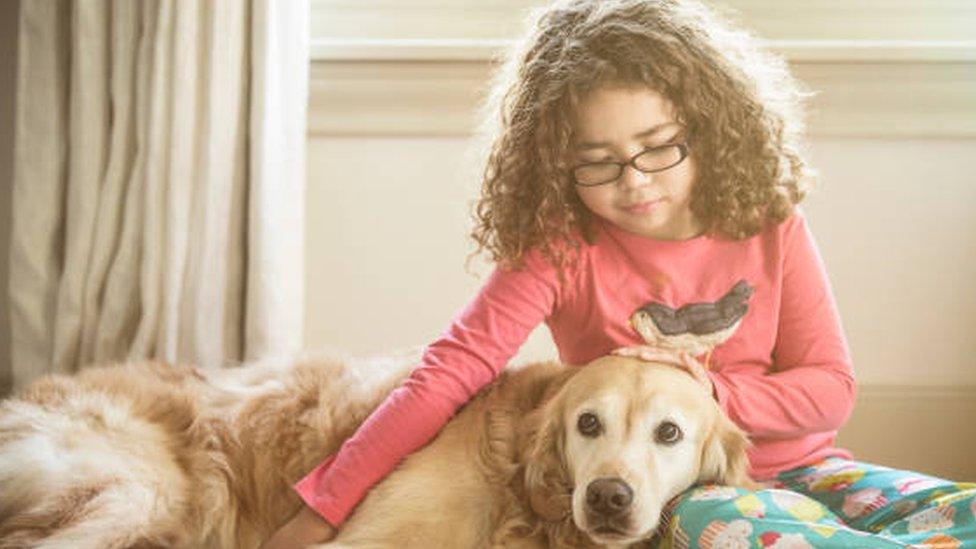 A little girl stroking a dog