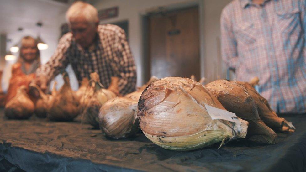 Onions on a table