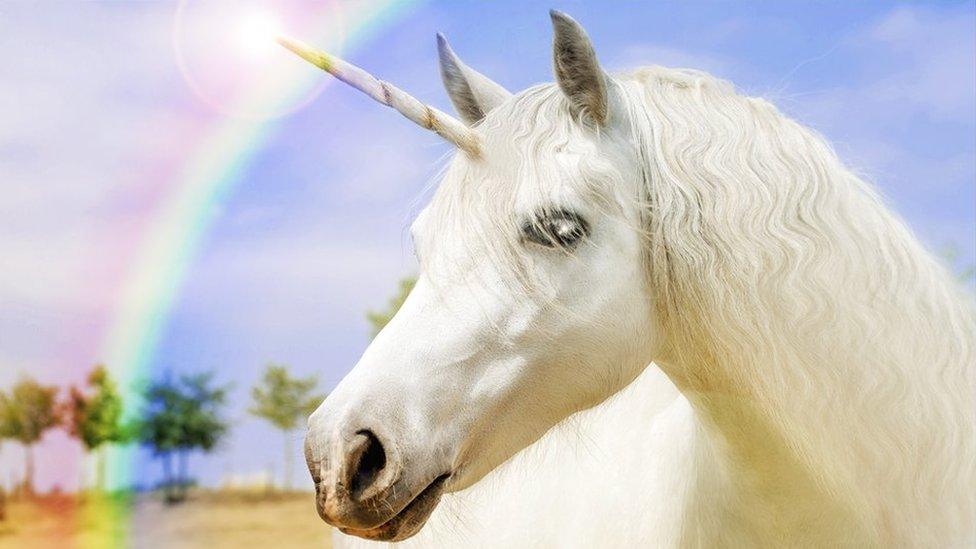 Unicorn-image.