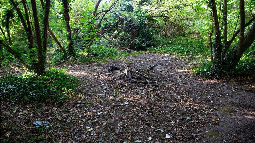 The remains of a camp fire in woods in Wisbech