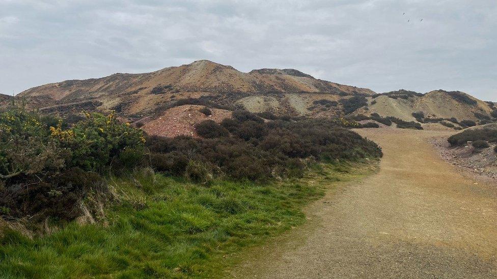 Mynydd Parys